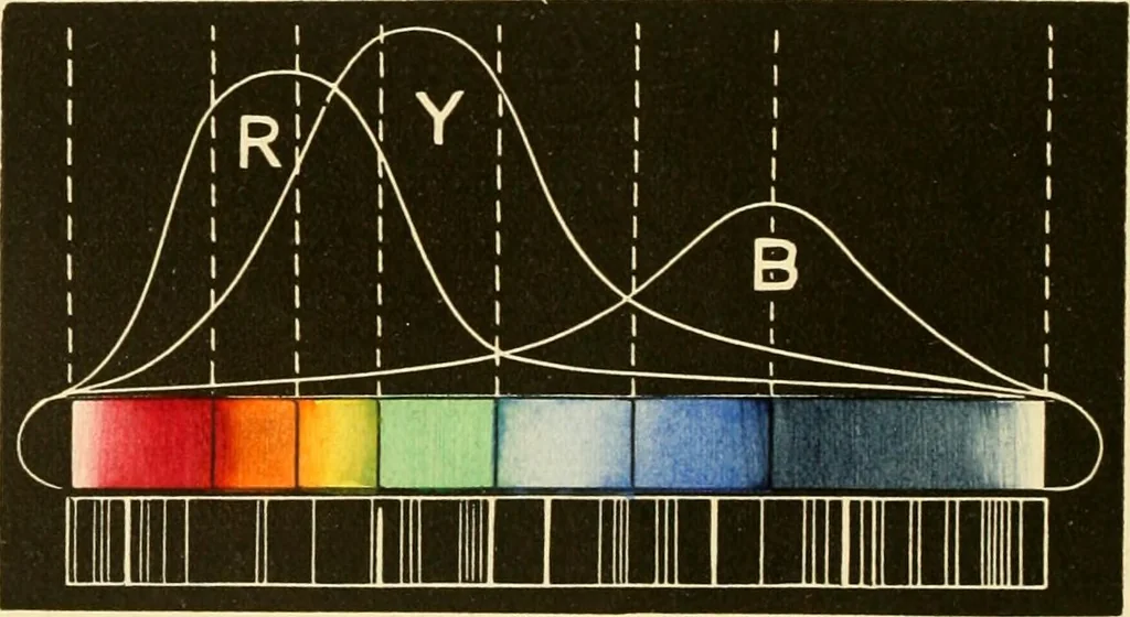 An illustration from Johnson's natural philosophy and key to philosophical charts : illustrated with 500 cuts; being reduced photographic copies of all the diagrams contained in the author's philosophical series of indestructible school charts ; for the use of schools and families, 1878, leaf 247