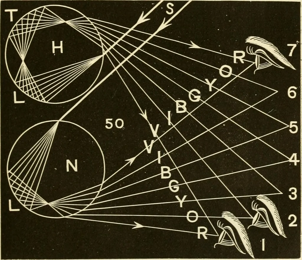 An illustration from Johnson's natural philosophy and key to philosophical charts : illustrated with 500 cuts; being reduced photographic copies of all the diagrams contained in the author's philosophical series of indestructible school charts ; for the use of schools and families, 1878, leaf 250