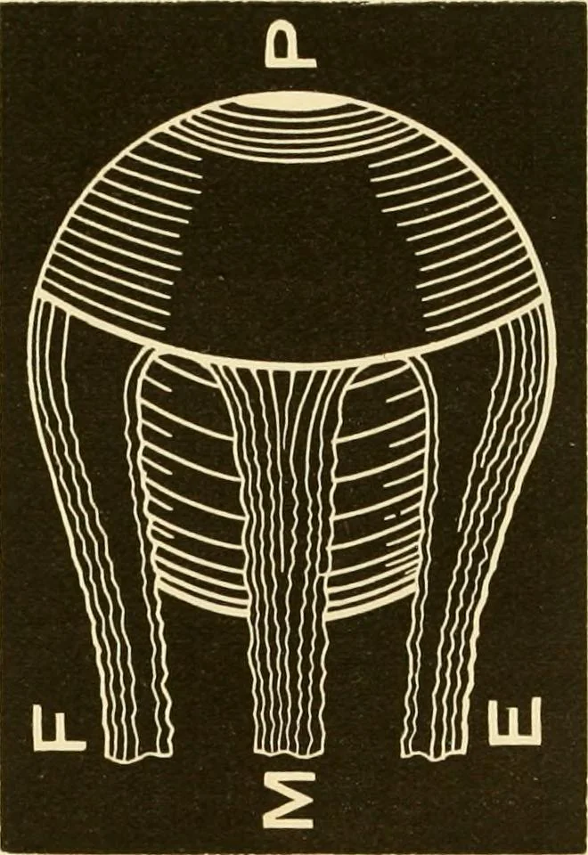 An illustration from Johnson's natural philosophy and key to philosophical charts : illustrated with 500 cuts; being reduced photographic copies of all the diagrams contained in the author's philosophical series of indestructible school charts ; for the use of schools and families, 1878, leaf 261