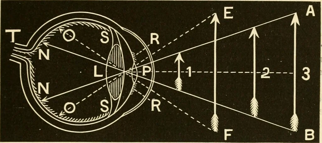 An illustration from Johnson's natural philosophy and key to philosophical charts : illustrated with 500 cuts; being reduced photographic copies of all the diagrams contained in the author's philosophical series of indestructible school charts ; for the use of schools and families, 1878, leaf 262