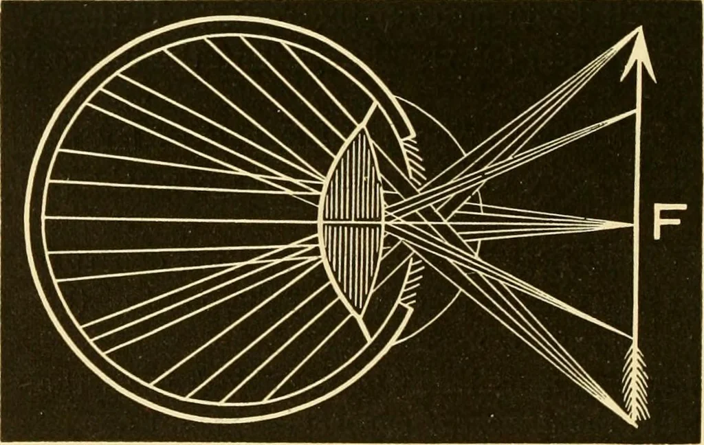 An illustration from Johnson's natural philosophy and key to philosophical charts : illustrated with 500 cuts; being reduced photographic copies of all the diagrams contained in the author's philosophical series of indestructible school charts ; for the use of schools and families, 1878, leaf 265