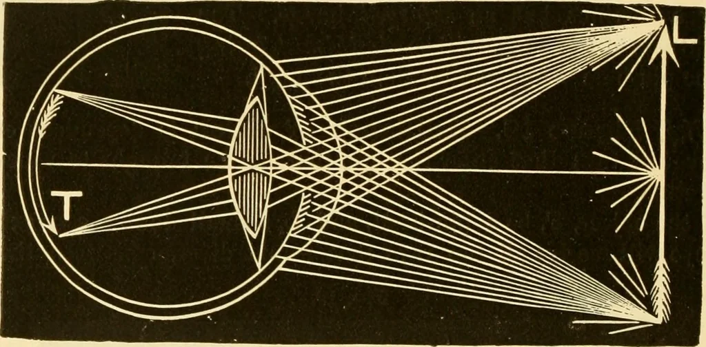 An illustration from Johnson's natural philosophy and key to philosophical charts : illustrated with 500 cuts; being reduced photographic copies of all the diagrams contained in the author's philosophical series of indestructible school charts ; for the use of schools and families, 1878, leaf 267