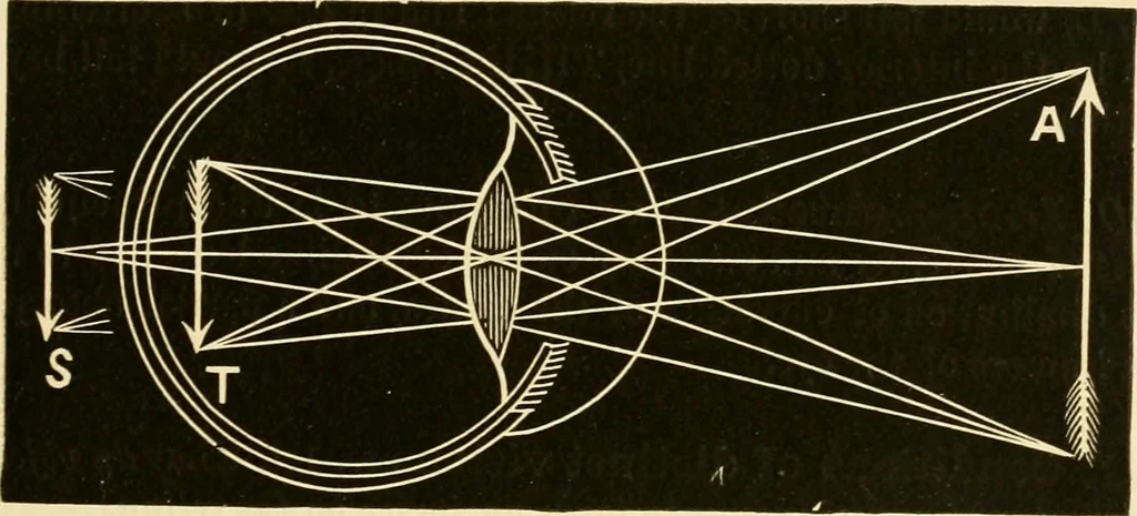 An illustration from Johnson's natural philosophy and key to philosophical charts : illustrated with 500 cuts; being reduced photographic copies of all the diagrams contained in the author's philosophical series of indestructible school charts ; for the use of schools and families, 1878, leaf 268