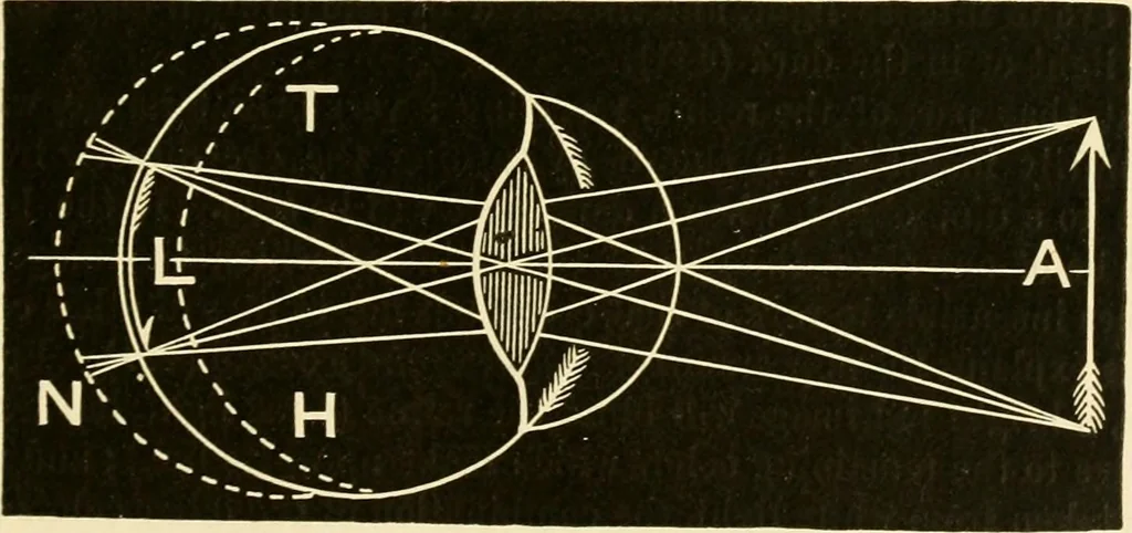 An illustration from Johnson's natural philosophy and key to philosophical charts : illustrated with 500 cuts; being reduced photographic copies of all the diagrams contained in the author's philosophical series of indestructible school charts ; for the use of schools and families, 1878, leaf 268
