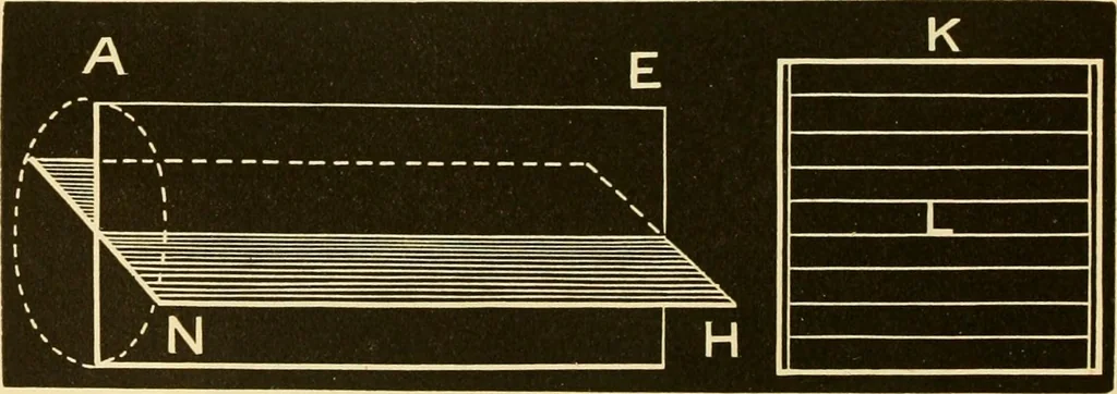 An illustration from Johnson's natural philosophy and key to philosophical charts : illustrated with 500 cuts; being reduced photographic copies of all the diagrams contained in the author's philosophical series of indestructible school charts ; for the use of schools and families, 1878, leaf 295