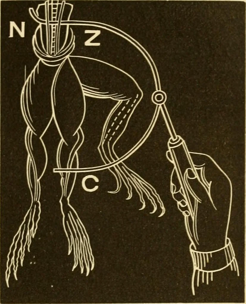 An illustration from Johnson's natural philosophy and key to philosophical charts : illustrated with 500 cuts; being reduced photographic copies of all the diagrams contained in the author's philosophical series of indestructible school charts ; for the use of schools and families, 1878, leaf 388
