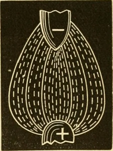 An illustration from Johnson's natural philosophy and key to philosophical charts : illustrated with 500 cuts; being reduced photographic copies of all the diagrams contained in the author's philosophical series of indestructible school charts ; for the use of schools and families, 1878, leaf 398