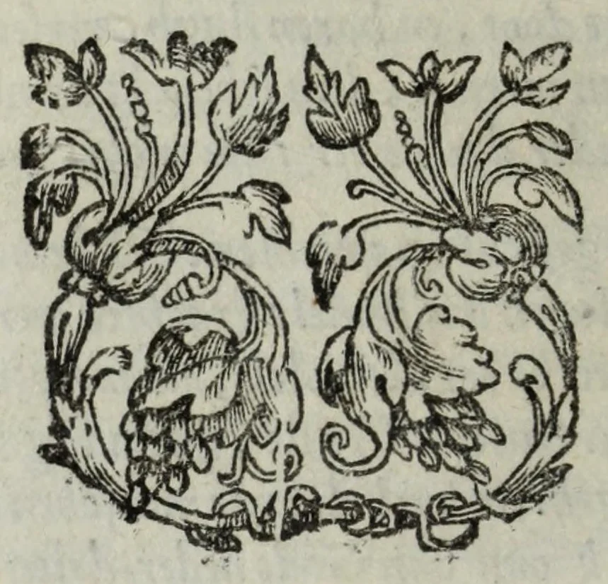 An illustration from Joh. van Beverwyck Schat der ongesontheyt, ofte, Genees-konste van de sieckten : vercʹiert met historyen, ende kopere platen, 1642, leaf 18