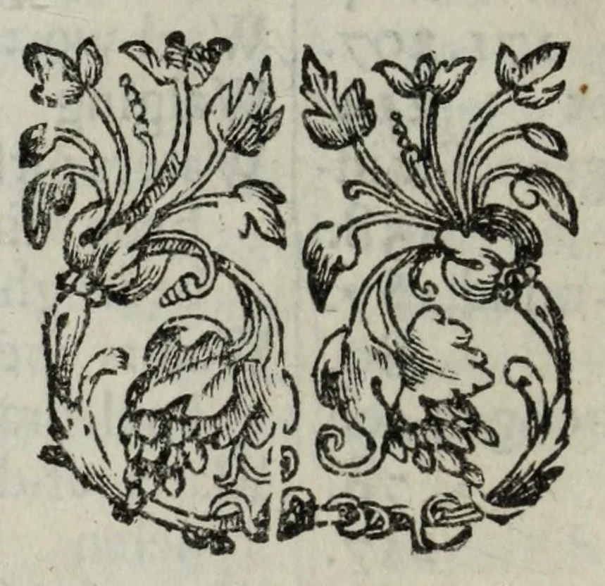 An illustration from Joh. van Beverwyck Schat der ongesontheyt, ofte, Genees-konste van de sieckten : vercʹiert met historyen, ende kopere platen, 1642, leaf 38