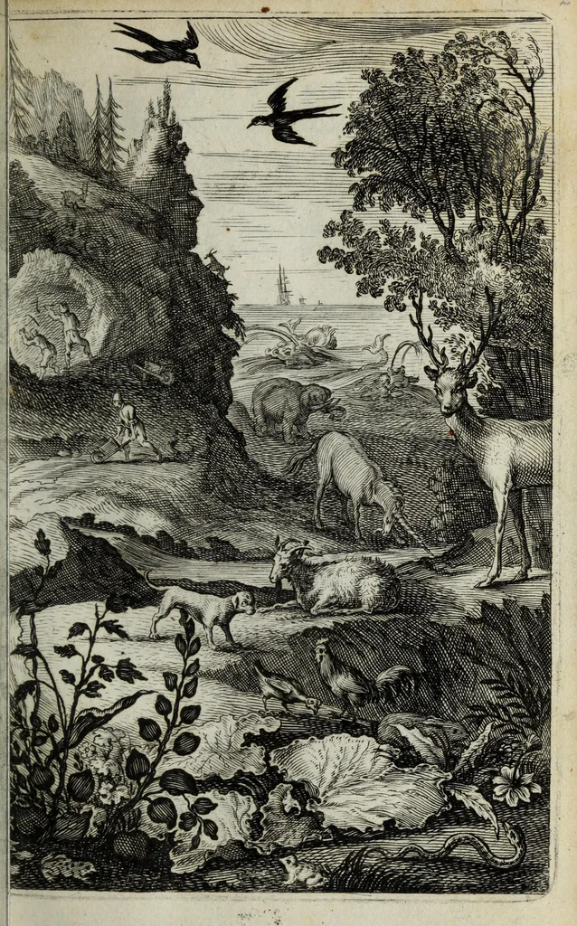 An illustration from Joh. van Beverwyck Schat der ongesontheyt, ofte, Genees-konste van de sieckten : vercʹiert met historyen, ende kopere platen, 1642, leaf 45