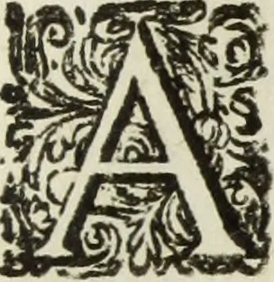 An illustration from Jo. Jac. Chiffletii De linteis sepulchralibus Christi Servatoris crisis historica, 1688, leaf 14