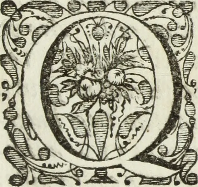 An illustration from Jo. Jac. Chiffletii De linteis sepulchralibus Christi Servatoris crisis historica, 1688, leaf 174