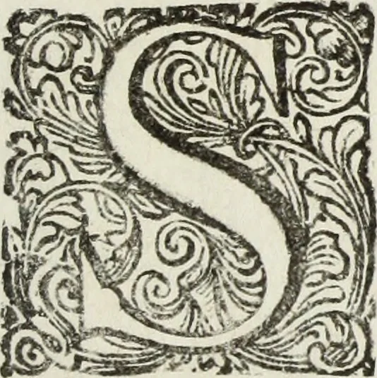 An illustration from Jo. Jac. Chiffletii De linteis sepulchralibus Christi Servatoris crisis historica, 1688, leaf 18