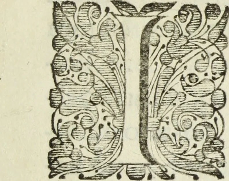 An illustration from Jo. Jac. Chiffletii De linteis sepulchralibus Christi Servatoris crisis historica, 1688, leaf 8