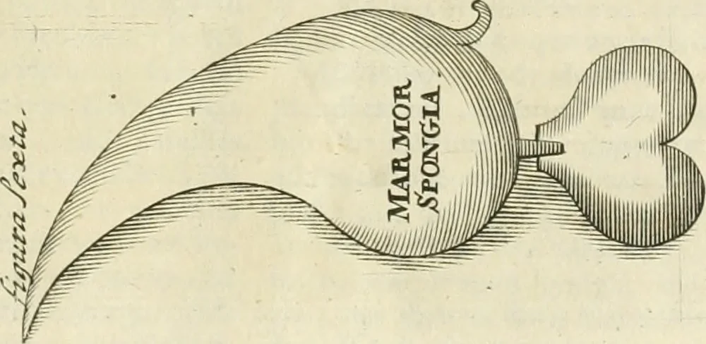 An illustration from Jo. Jacobi Mangeti, medicinae doctoris et sereniss. ac potentiss. regis Prussiae archiatri, Bibliotheca chemica curiosa, seu, Rerum ad alchemiam pertinetium thesaurus instructissimus : quo non tantùm artis auriferae, ac scriptorum in ea nobiliorum historia traditur : lapidis veritas argumentis & experimentis innumeris, immò & juris consultorum judiciis evincitur : termini obscuriores explicantur : cautiones contra impostores & difficultates in tinctura universali conficienda occurrentes, declarantur : verùm etiam tractatus omnes virorum celebriorum, qui in magno sudarunt elixyre, quíque ab ipso Hermete, ut dicitur, Trismegisto, ad nostra usque tempora de chrysopoea scripserunt, cum praecipuis suis commentariis, concinno ordine dispositi exhibentur. Ad quorum omnium illustrationem additae sunt quamplurimae figurae aeneae, 1702, leaf 1522