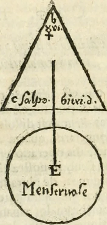 An illustration from Jo. Jacobi Mangeti, medicinae doctoris et sereniss. ac potentiss. regis Prussiae archiatri, Bibliotheca chemica curiosa, seu, Rerum ad alchemiam pertinetium thesaurus instructissimus : quo non tantùm artis auriferae, ac scriptorum in ea nobiliorum historia traditur : lapidis veritas argumentis & experimentis innumeris, immò & juris consultorum judiciis evincitur : termini obscuriores explicantur : cautiones contra impostores & difficultates in tinctura universali conficienda occurrentes, declarantur : verùm etiam tractatus omnes virorum celebriorum, qui in magno sudarunt elixyre, quíque ab ipso Hermete, ut dicitur, Trismegisto, ad nostra usque tempora de chrysopoea scripserunt, cum praecipuis suis commentariis, concinno ordine dispositi exhibentur. Ad quorum omnium illustrationem additae sunt quamplurimae figurae aeneae, 1702, leaf 789