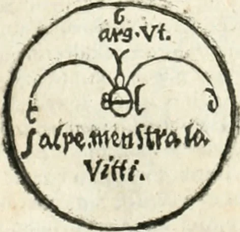 An illustration from Jo. Jacobi Mangeti, medicinae doctoris et sereniss. ac potentiss. regis Prussiae archiatri, Bibliotheca chemica curiosa, seu, Rerum ad alchemiam pertinetium thesaurus instructissimus : quo non tantùm artis auriferae, ac scriptorum in ea nobiliorum historia traditur : lapidis veritas argumentis & experimentis innumeris, immò & juris consultorum judiciis evincitur : termini obscuriores explicantur : cautiones contra impostores & difficultates in tinctura universali conficienda occurrentes, declarantur : verùm etiam tractatus omnes virorum celebriorum, qui in magno sudarunt elixyre, quíque ab ipso Hermete, ut dicitur, Trismegisto, ad nostra usque tempora de chrysopoea scripserunt, cum praecipuis suis commentariis, concinno ordine dispositi exhibentur. Ad quorum omnium illustrationem additae sunt quamplurimae figurae aeneae, 1702, leaf 791