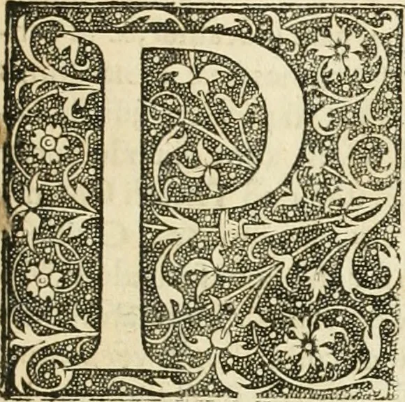 An illustration from Jo. Jacobi Mangeti, medicinae doctoris et sereniss. ac potentiss. regis Prussiae archiatri, Bibliotheca chemica curiosa, seu, Rerum ad alchemiam pertinetium thesaurus instructissimus : quo non tantùm artis auriferae, ac scriptorum in ea nobiliorum historia traditur : lapidis veritas argumentis & experimentis innumeris, immò & juris consultorum judiciis evincitur : termini obscuriores explicantur : cautiones contra impostores & difficultates in tinctura universali conficienda occurrentes, declarantur : verùm etiam tractatus omnes virorum celebriorum, qui in magno sudarunt elixyre, quíque ab ipso Hermete, ut dicitur, Trismegisto, ad nostra usque tempora de chrysopoea scripserunt, cum praecipuis suis commentariis, concinno ordine dispositi exhibentur. Ad quorum omnium illustrationem additae sunt quamplurimae figurae aeneae, 1702, leaf 8
