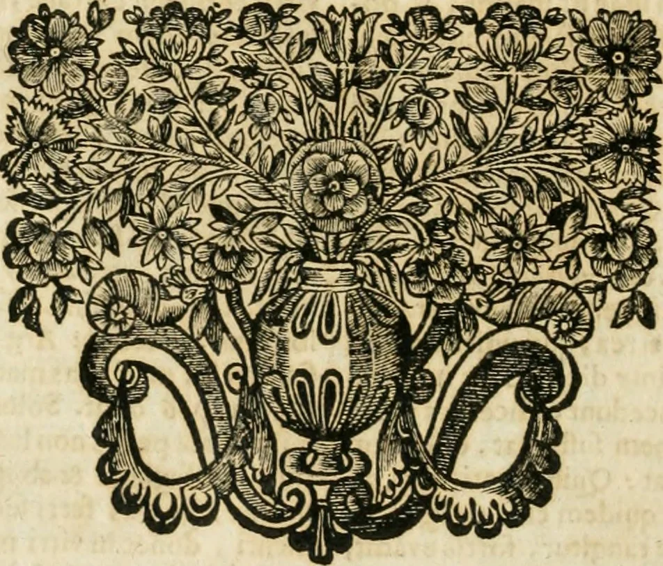 An illustration from Jo. Jacobi Mangeti, medicinae doctoris et sereniss. ac potentiss. regis Prussiae archiatri, Bibliotheca chemica curiosa, seu, Rerum ad alchemiam pertinetium thesaurus instructissimus : quo non tantùm artis auriferae, ac scriptorum in ea nobiliorum historia traditur : lapidis veritas argumentis & experimentis innumeris, immò & juris consultorum judiciis evincitur : termini obscuriores explicantur : cautiones contra impostores & difficultates in tinctura universali conficienda occurrentes, declarantur : verùm etiam tractatus omnes virorum celebriorum, qui in magno sudarunt elixyre, quíque ab ipso Hermete, ut dicitur, Trismegisto, ad nostra usque tempora de chrysopoea scripserunt, cum praecipuis suis commentariis, concinno ordine dispositi exhibentur. Ad quorum omnium illustrationem additae sunt quamplurimae figurae aeneae, 1702, leaf 961