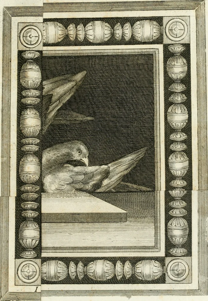 An illustration from Josephi Alexandri Furietti utriusque signaturæ referendarii, sacrarum congr. concilii, & residentiæ episcoporum a secretis De musivis, ad Ss. patrem Benedictum XIV. Pontificem Maximum, 1752, leaf 50