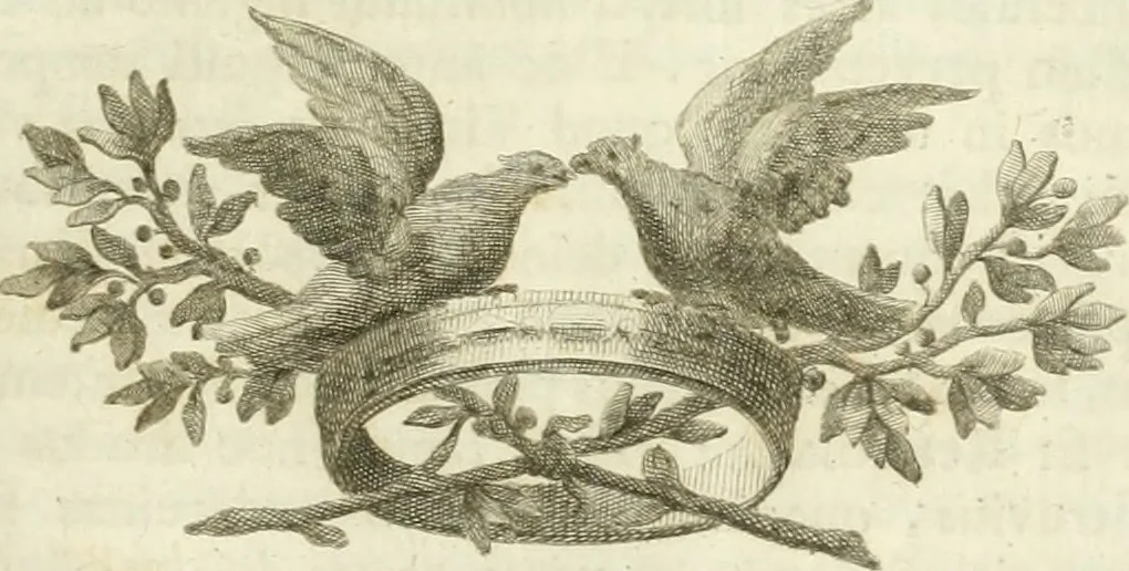 An illustration from Josephi Alexandri Furietti utriusque signaturæ referendarii, sacrarum congr. concilii, & residentiæ episcoporum a secretis De musivis, ad Ss. patrem Benedictum XIV. Pontificem Maximum, 1752, leaf 72