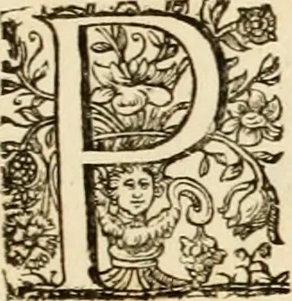 An illustration from Josephi felicissimi quondam, et gloriossisimi in Aegypto proregis polymita : variis liciorum coloribus distincta diversisque picturarum figuris illustrata : hoc est, virtutum regiarum in pluribus olim clarissimisque principibus laudatarum symmetria in unum, absolutumque ornatum animi coronis nati concinnata, et Josepho primo Leopoldi I. caesaris filio in Romanorum regem felicibus auspiciis nuper inaugurato : ab Archiducali, Caesareo, et Academico Societ. Jesu collegio Graecii in obsequiosae gratulationis argumentum demississimè oblata, 1690, leaf 18