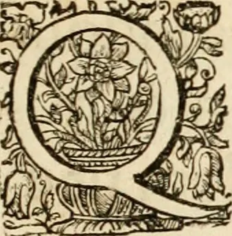 An illustration from Josephi felicissimi quondam, et gloriossisimi in Aegypto proregis polymita : variis liciorum coloribus distincta diversisque picturarum figuris illustrata : hoc est, virtutum regiarum in pluribus olim clarissimisque principibus laudatarum symmetria in unum, absolutumque ornatum animi coronis nati concinnata, et Josepho primo Leopoldi I. caesaris filio in Romanorum regem felicibus auspiciis nuper inaugurato : ab Archiducali, Caesareo, et Academico Societ. Jesu collegio Graecii in obsequiosae gratulationis argumentum demississimè oblata, 1690, leaf 8