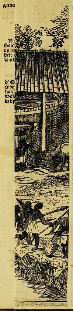 An illustration from Journael, ofte historiaelse beschrijvinge van Matheus vanden Broeck. : Van 't geen hy selfs ghesien ende waerachtigh gebeurtis, wegen 't begin ende revolte van de Portugese in Brasiel, als mede de conditie en het overgaen van de forten aldaer, 1651, leaf 20