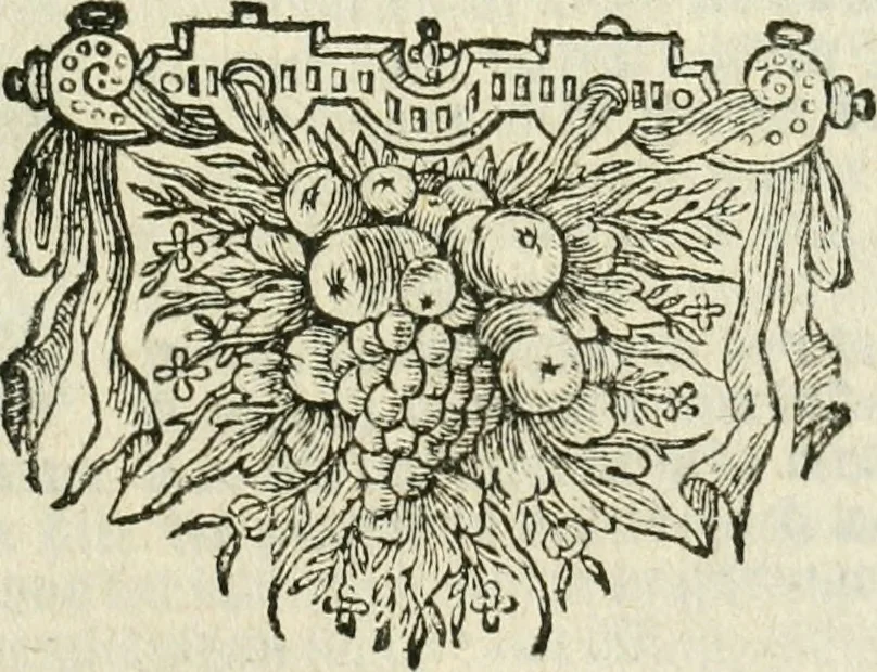 An illustration from Journael van de reysen ghedaen door den Ed. Heer en Ridder Sr. Thomas Roe, ambassadeur van sijn Conincklijcke Maejesteyt van Groot-Brittanje, afgevaerdicht naer Oostindien aen den Grooten Mogol, ende andere ghewesten in Indien .., 1656, leaf 6