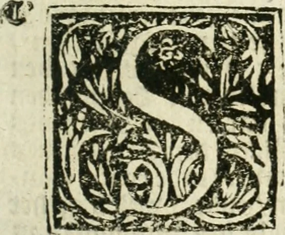 An illustration from Journael van de reysen ghedaen door den Ed. Heer en Ridder Sr. Thomas Roe, ambassadeur van sijn Conincklijcke Maejesteyt van Groot-Brittanje, afgevaerdicht naer Oostindien aen den Grooten Mogol, ende andere ghewesten in Indien .., 1656, leaf 8