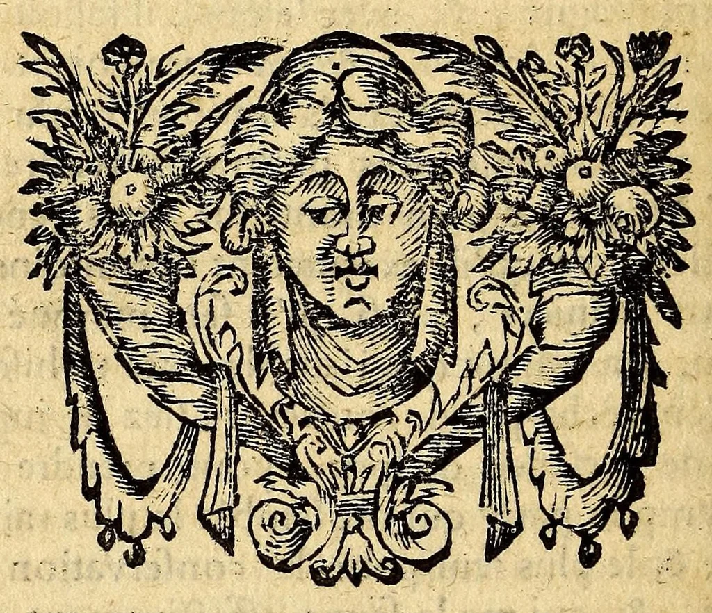 An illustration from Journal du voyage fait a la mer de Sud avec les flibustiers de l'Amerique, en 1684. & années suivantes., 1690, leaf 254