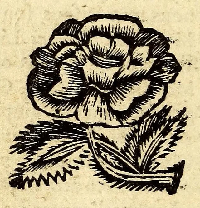 An illustration from Journal du voyage fait a la mer de Sud avec les flibustiers de l'Amerique, en 1684. & années suivantes., 1690, leaf 292