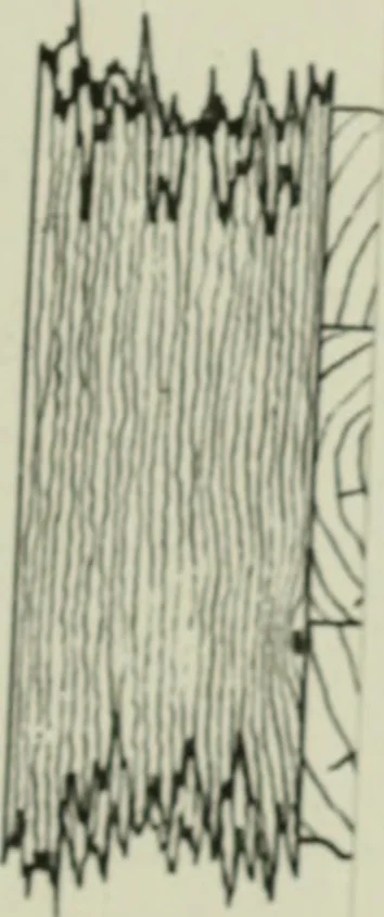An illustration from Journal - Franklin Institute of the State of Pennsylvania, 1826, leaf 492