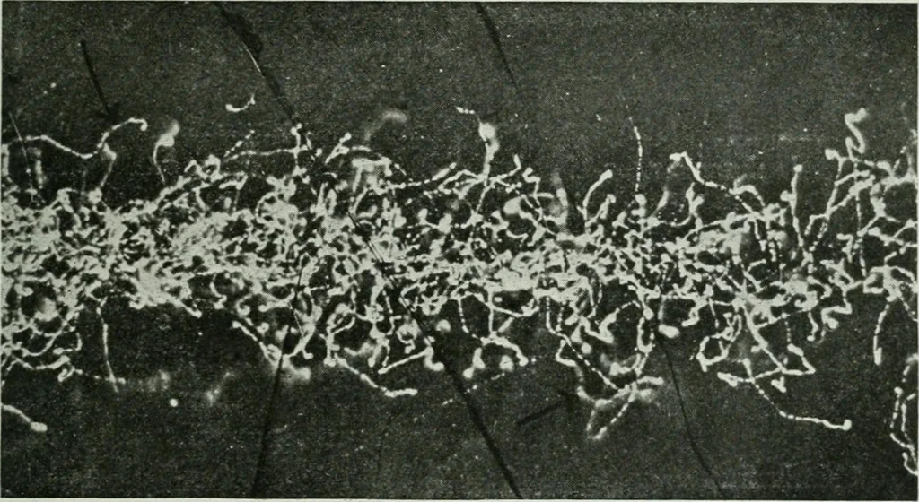 An illustration from Journal - Franklin Institute of the State of Pennsylvania, 1826, leaf 162