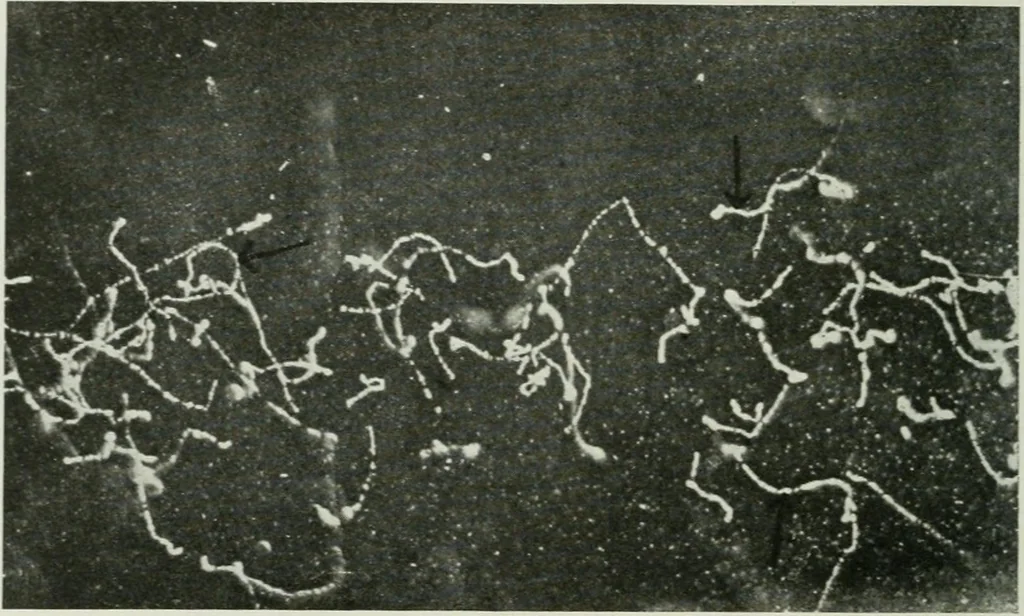 An illustration from Journal - Franklin Institute of the State of Pennsylvania, 1826, leaf 163