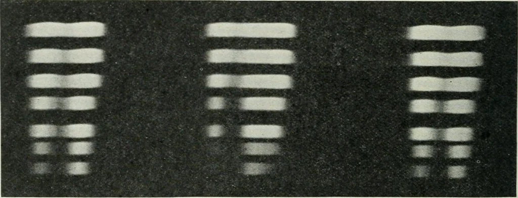 An illustration from Journal - Franklin Institute of the State of Pennsylvania, 1826, leaf 597