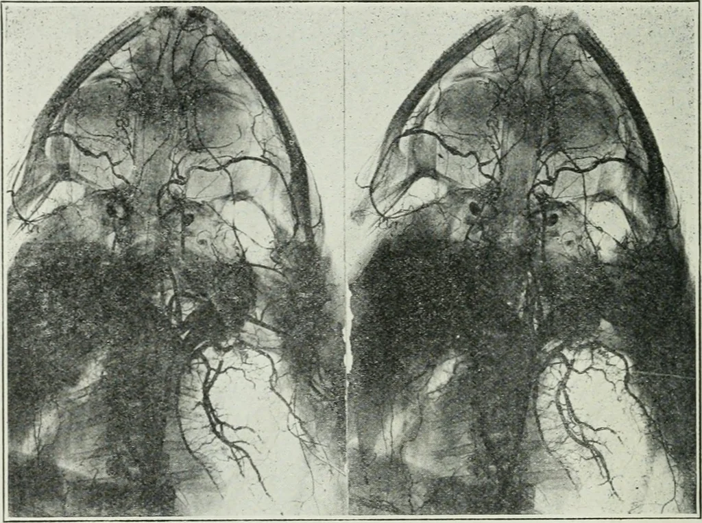 An illustration from Journal - Franklin Institute of the State of Pennsylvania, 1826, leaf 603