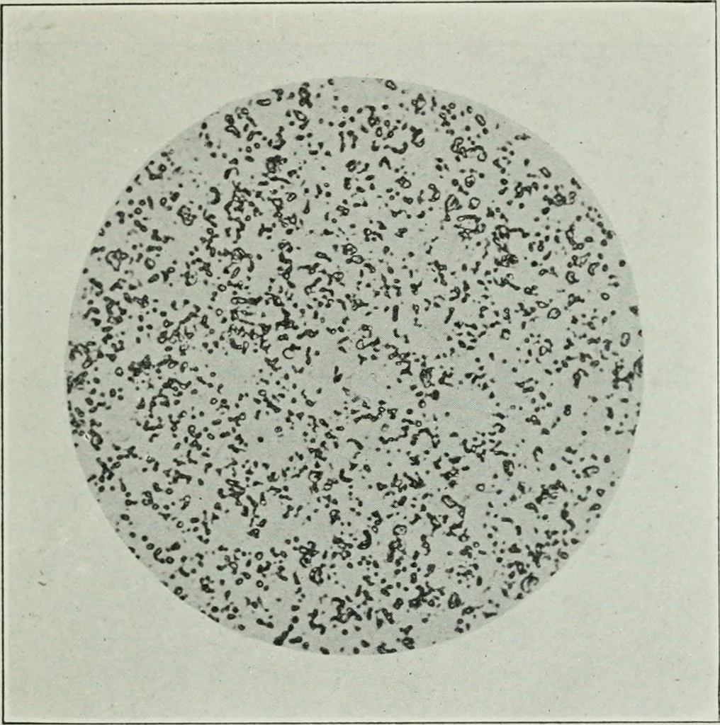 An illustration from Journal - Franklin Institute of the State of Pennsylvania, 1826, leaf 670