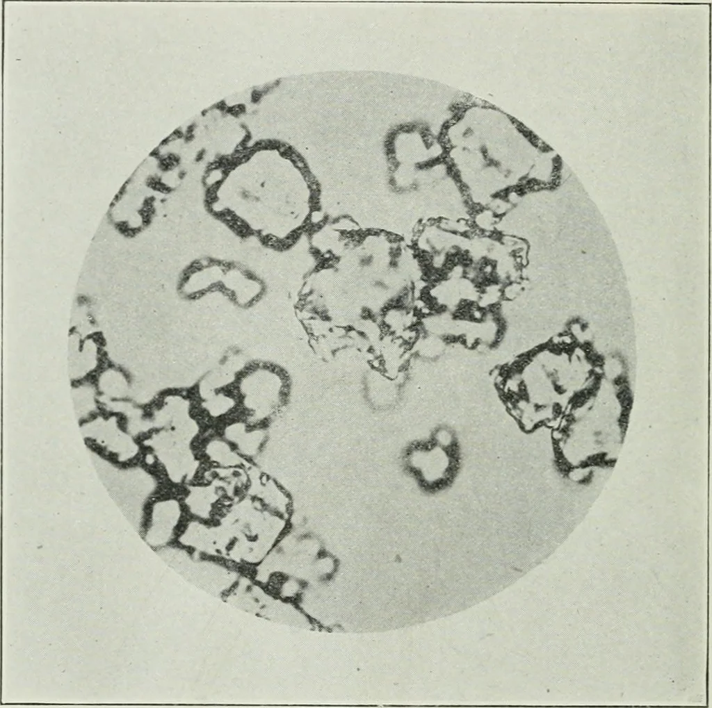 An illustration from Journal - Franklin Institute of the State of Pennsylvania, 1826, leaf 675