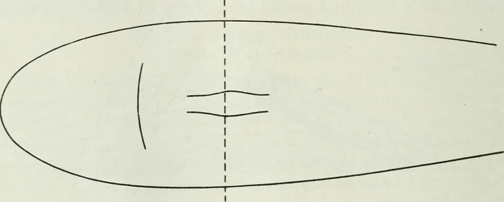 An illustration from Journal - Franklin Institute of the State of Pennsylvania, 1826, leaf 751