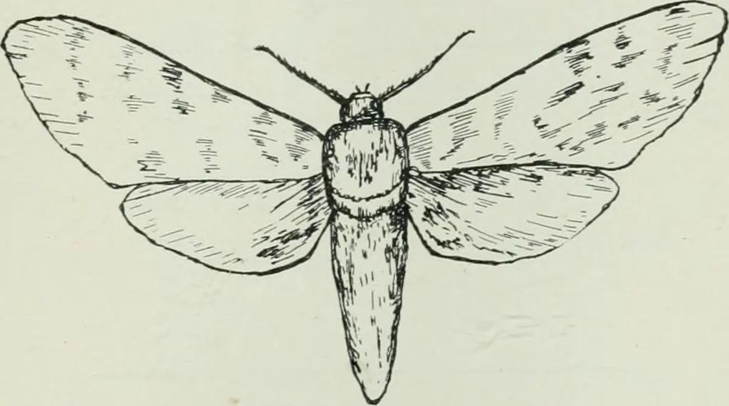 An illustration from Journal - Franklin Institute of the State of Pennsylvania, 1826, leaf 760