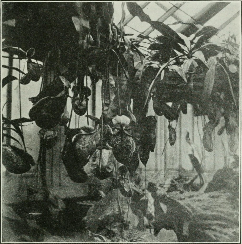 An illustration from Journal - Franklin Institute of the State of Pennsylvania, 1826, leaf 792