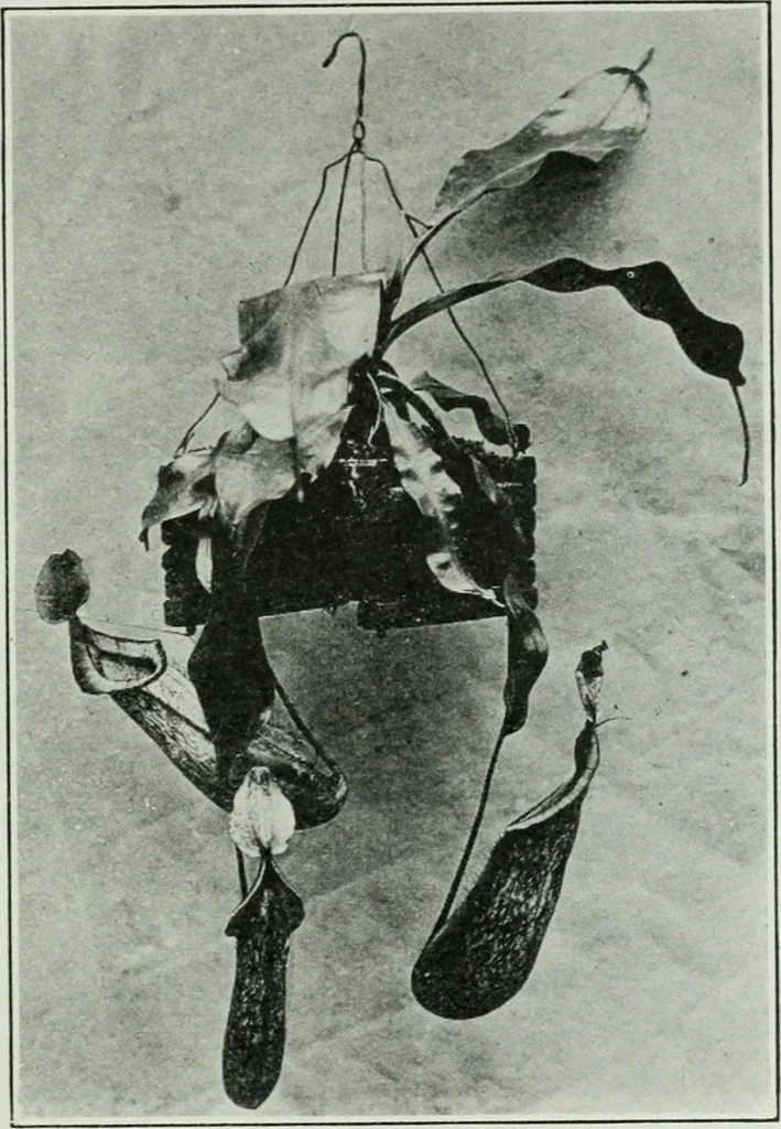 An illustration from Journal - Franklin Institute of the State of Pennsylvania, 1826, leaf 794