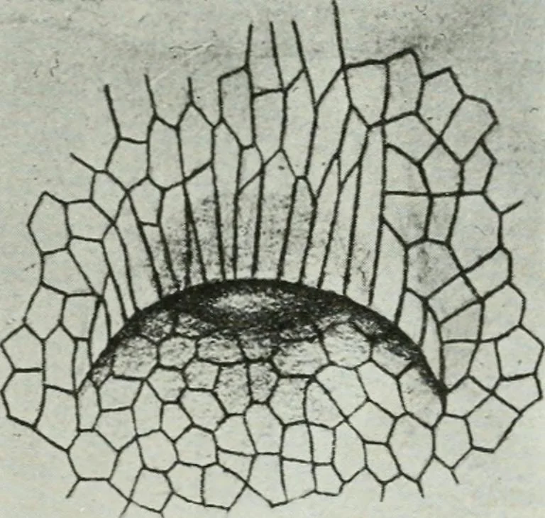 An illustration from Journal - Franklin Institute of the State of Pennsylvania, 1826, leaf 795