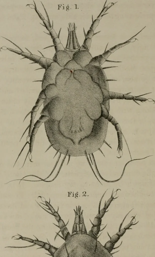 An illustration from Journal - Franklin Institute of the State of Pennsylvania, 1826, leaf 379