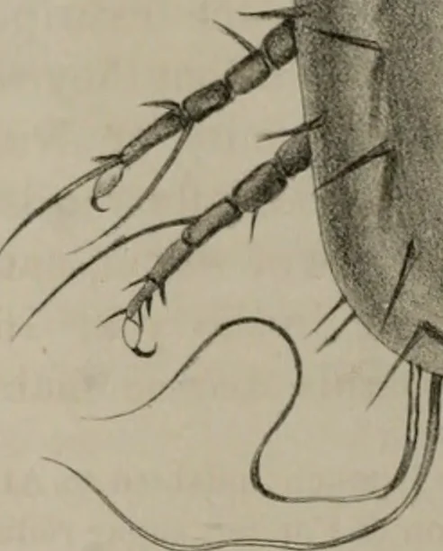 An illustration from Journal - Franklin Institute of the State of Pennsylvania, 1826, leaf 379