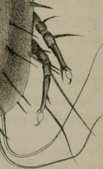 An illustration from Journal - Franklin Institute of the State of Pennsylvania, 1826, leaf 379