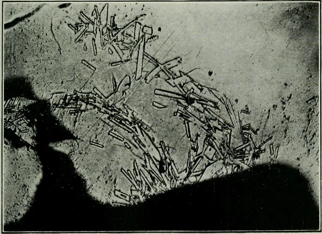 An illustration from Journal, 1917, leaf 194