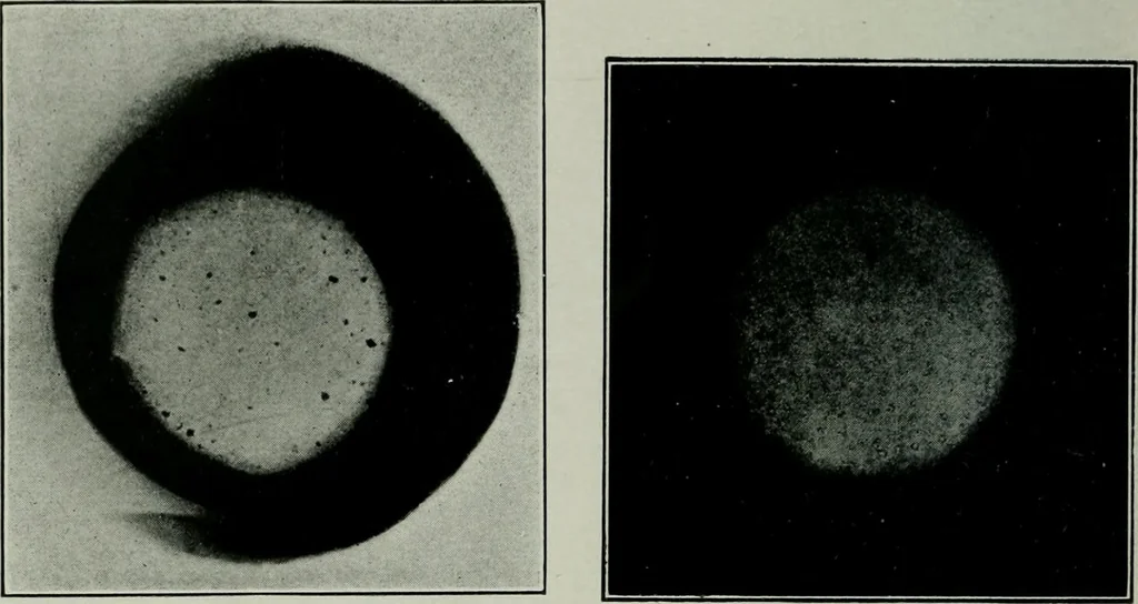 An illustration from Journal, 1917, leaf 197