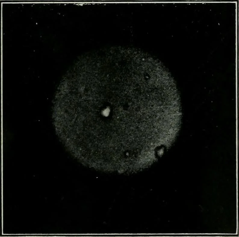 An illustration from Journal, 1917, leaf 197